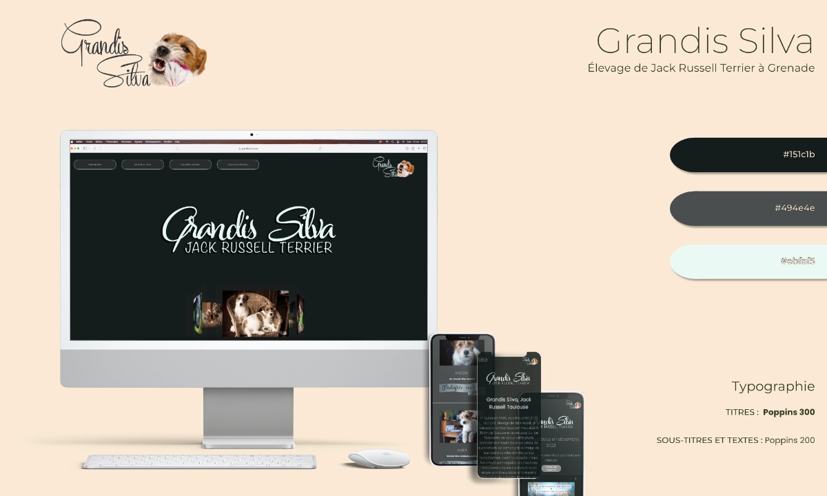 ordinateur-charte-grandis-silva
