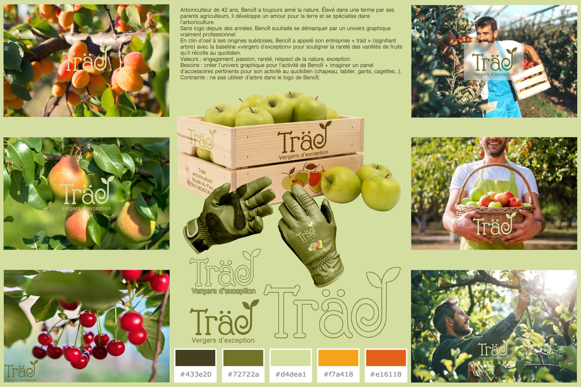 identite-visuelle-arboriculteur